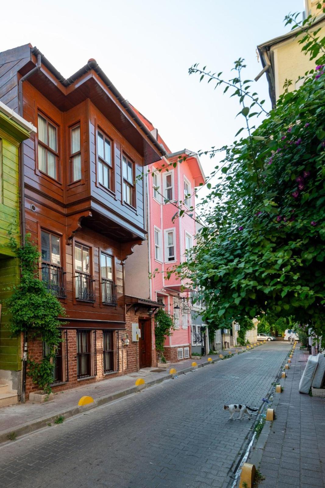 Brown Mansion Oldcity อิสตันบูล ภายนอก รูปภาพ